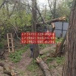 IMG-20200508-WA0167