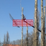 IMG-20200508-WA0017