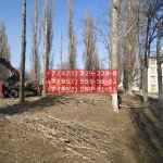 IMG-20200508-WA0020