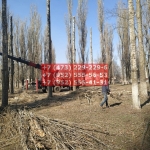 IMG-20200508-WA0022