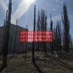 IMG-20200508-WA0036
