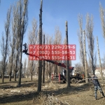 IMG-20200508-WA0042