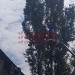 2020-06-29 21-54-06_1593458618591