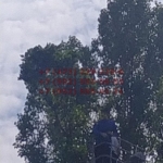 2020-06-29 21-54-08
